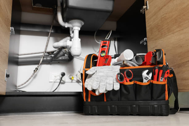 Best Plumbing Inspection Services  in Riverdale Park, CA
